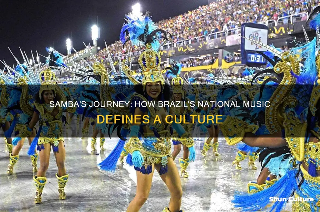 how did the samba become brazil
