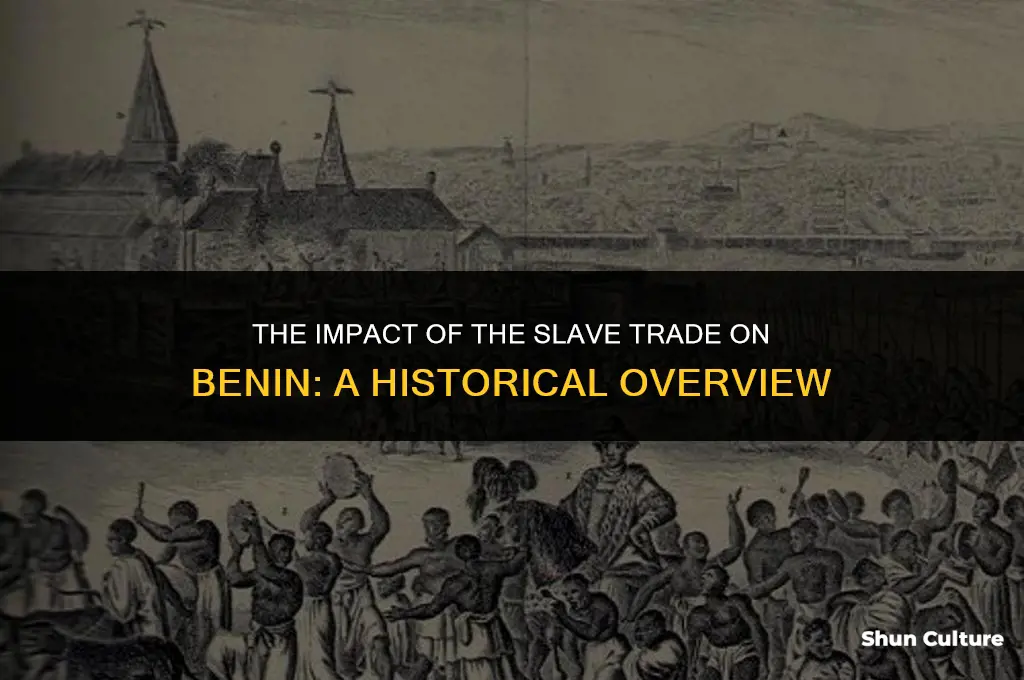 how did the slave trade affect benin