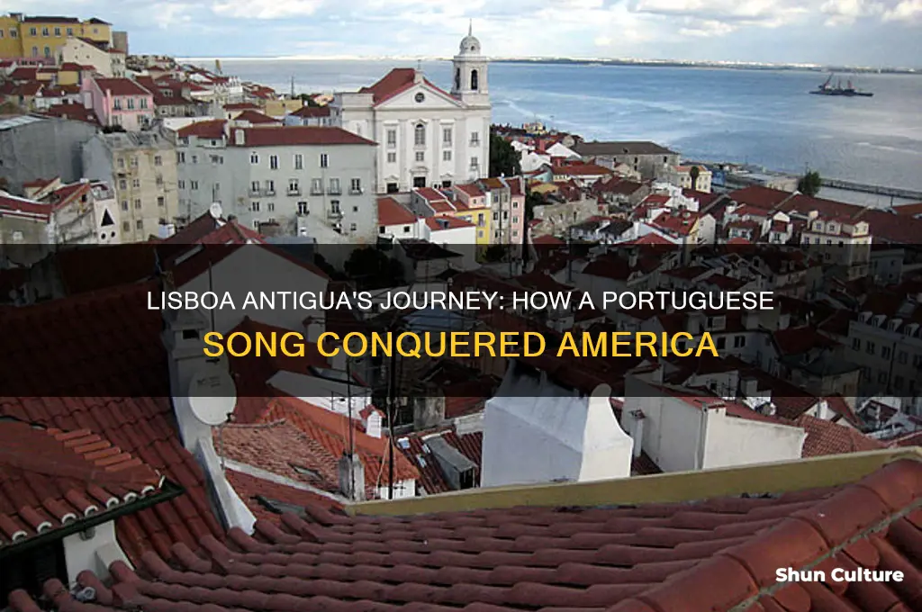 how did the song lisboa antigua become famous in usa
