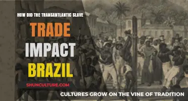 Transatlantic Slave Trade's Profound Legacy on Brazil's Culture and Economy