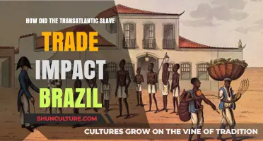 Brazil's Legacy: The Transatlantic Slave Trade's Profound Impact Explored