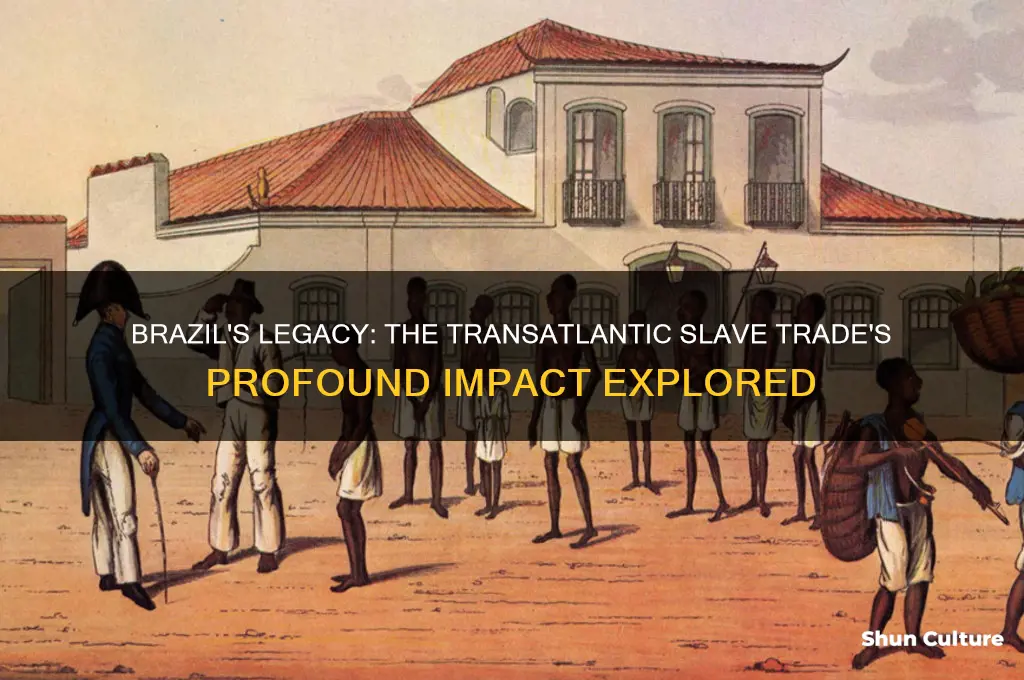 how did the transatlantic slave trade impact brazil