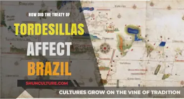 Treaty of Tordesillas: Shaping Brazil's Colonial Legacy and Boundaries