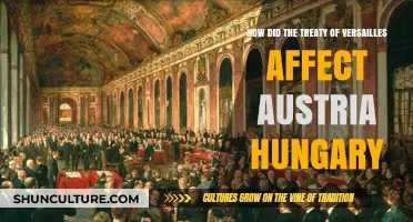 The Treaty's Impact: Austria-Hungary's Post-War Struggles