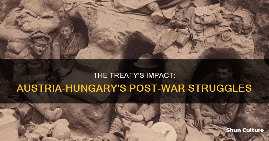 how did the treaty of versailles affect austria hungary