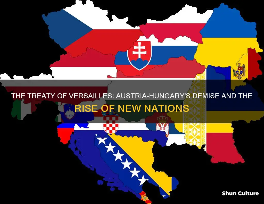 how did the treaty of versailles divide austria hungary