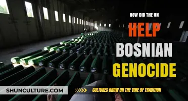 UN's Role in Addressing the Bosnian Genocide: A Comprehensive Analysis