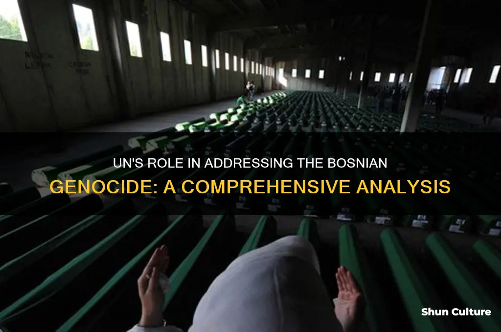 how did the un help bosnian genocide