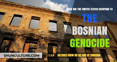 U.S. Response to the Bosnian Genocide: A Critical Analysis