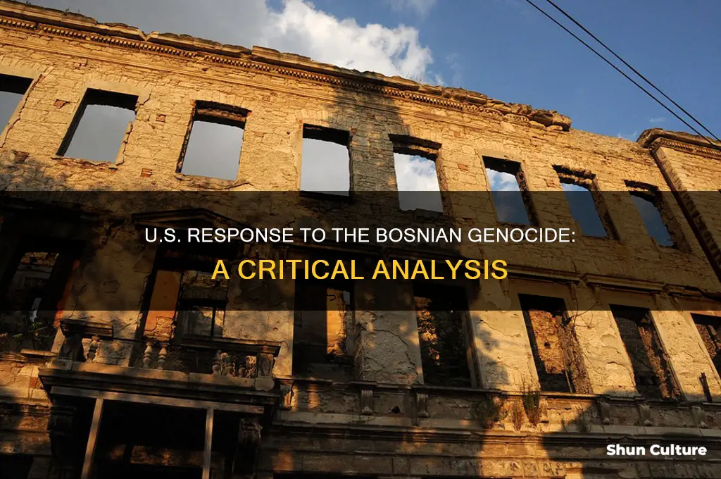 how did the united states respond to the bosnian genocide