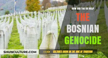 US Role in the Bosnian Genocide: Aid, Inaction, and Consequences