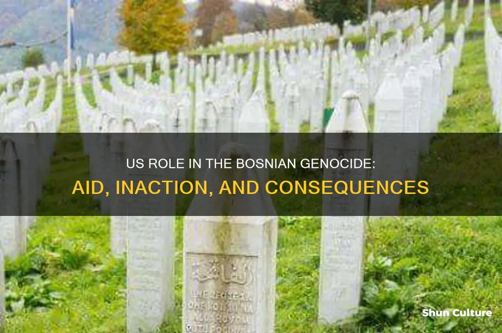 how did the us help the bosnian genocide