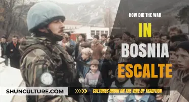 The Spark to Inferno: Unraveling Bosnia's War Escalation