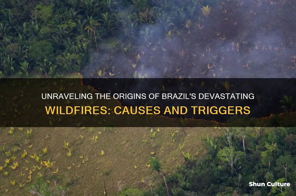 how did the wildfires start in brazil