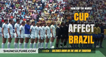 World Cup's Impact: Brazil's Economy, Culture, and Legacy Transformed