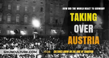 Global Outcry: Austria's Fate Under German Control