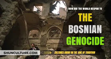 Global Reactions to the Bosnian Genocide: A Comprehensive Analysis
