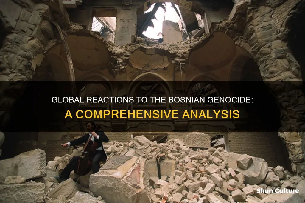 how did the world respon to the bosnian genocide