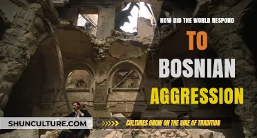 Global Reactions to Bosnian Aggression: Unity, Conflict, and Consequences
