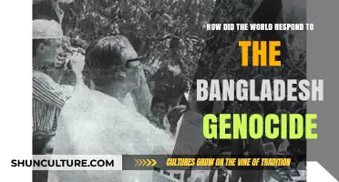 Global Reactions to the Bangladesh Genocide: Silence, Solidarity, and Struggles