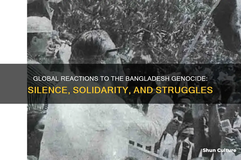 how did the world respond to the bangladesh genocide