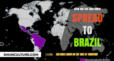 Unraveling Zika's Journey: How the Virus Reached Brazil's Shores