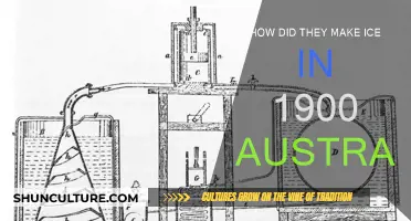 Making Ice in Australia: The 1900s Way