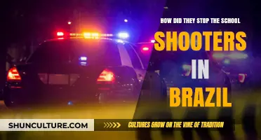 Ending School Shootings in Brazil: Strategies and Lessons Learned