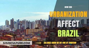 Urbanization's Impact: Transforming Brazil's Landscape, Economy, and Society