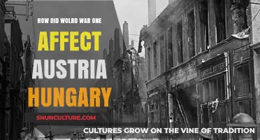 Austerity's Struggles: Austria-Hungary's Post-War Struggles