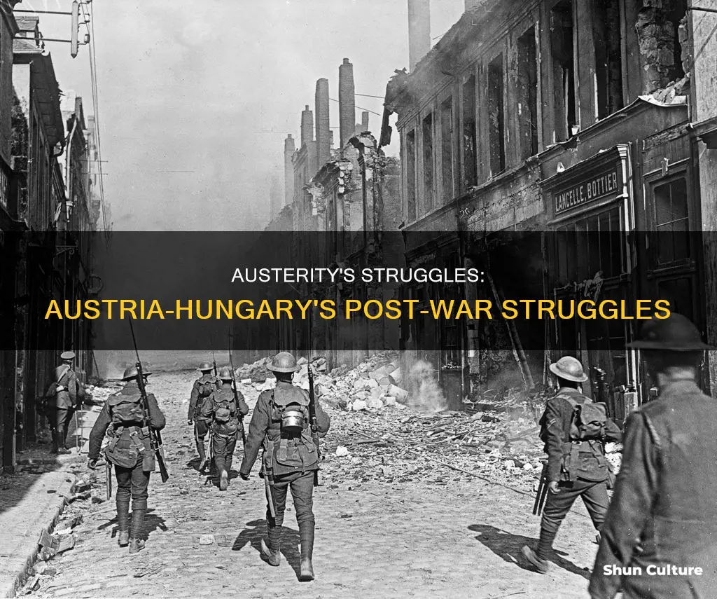 how did wolrd war one affect austria hungary