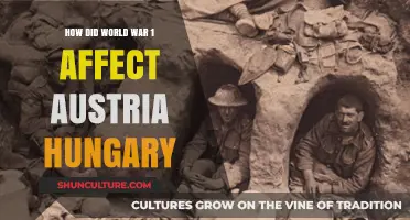 The Devastating Impact of WW1 on Austria-Hungary