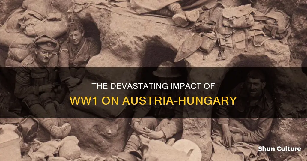 how did world war 1 affect austria hungary