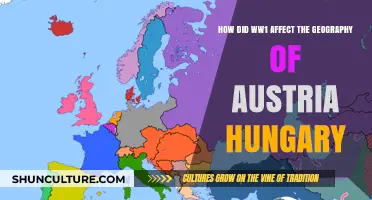 The Shifting Borders: WW1's Impact on Austria-Hungary's Geography