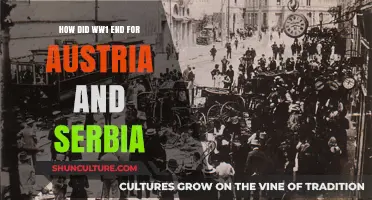 Austerian and Serbian Fate: The End of World War I