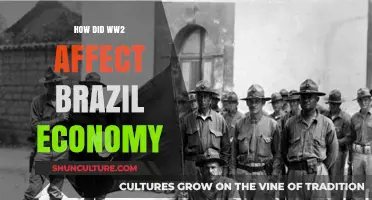 Brazil's Economic Transformation During World War II: Opportunities and Challenges
