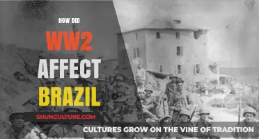 Brazil's Role and Transformation During World War II