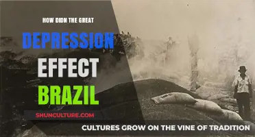 Brazil's Resilience: Navigating Economic Turmoil During the Great Depression