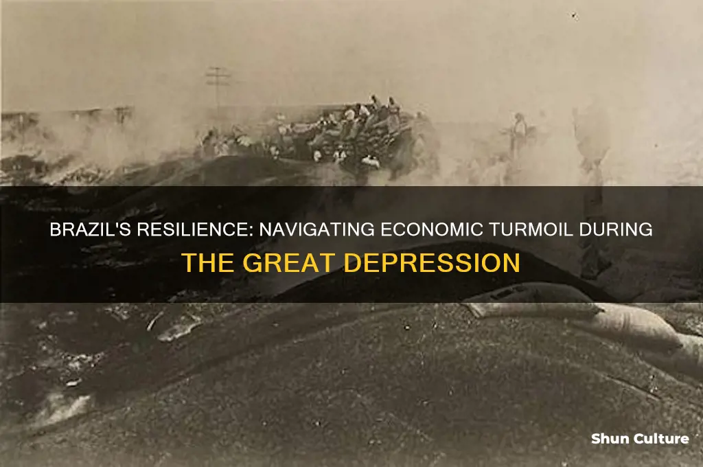 how didn the great depression effect brazil