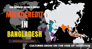 District Variations Shaping Microcredit Outcomes in Bangladesh's Economy