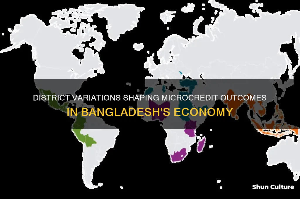 how different districts impact microcredit in bangladesh