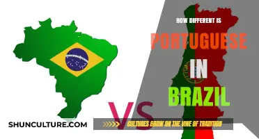 Exploring the Unique Differences in Brazilian Portuguese Language and Culture