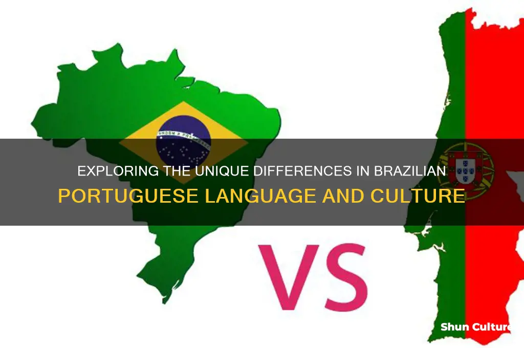 how different is portuguese in brazil