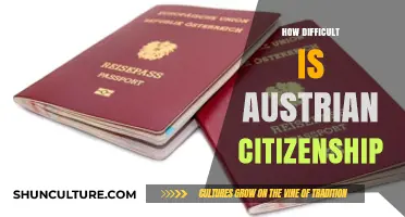 Understanding the Challenges: A Comprehensive Guide to Austrian Citizenship