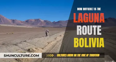 Exploring Bolivia's Laguna Route: A Challenging Adventure