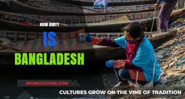 Exploring Bangladesh's Pollution Crisis: Air, Water, and Waste Challenges