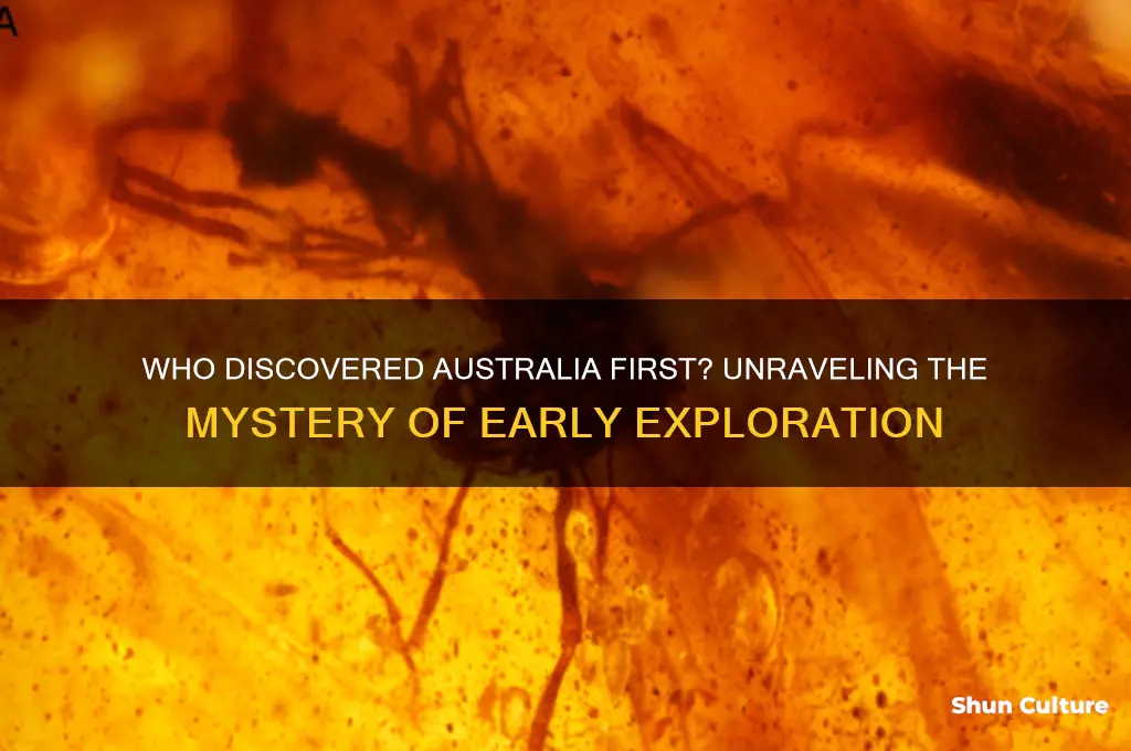 how discovered australia first