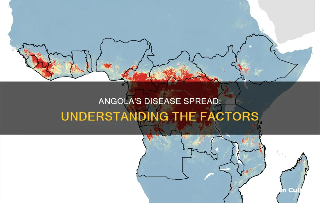 how disease spreads in angola