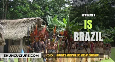Exploring Brazil's Rich Cultural Diversity: A Vibrant Mosaic of Traditions
