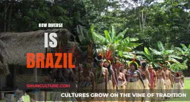 Exploring Brazil's Rich Cultural Mosaic: A Journey Through Diversity